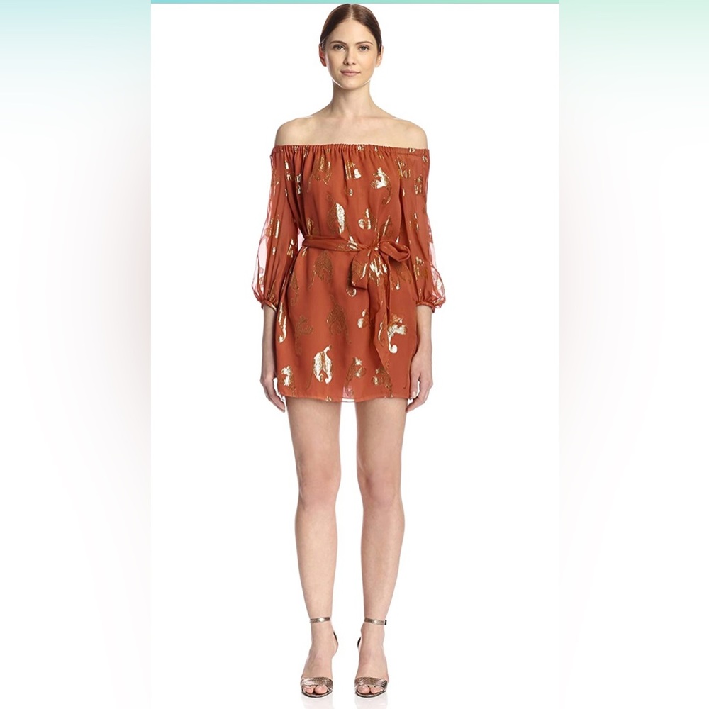 NEW Rachel Zoe Frankie Metallic Dress, color Cinnamon, Size 8/M